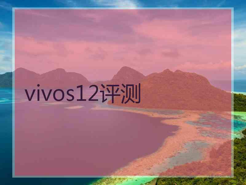 vivos12评测