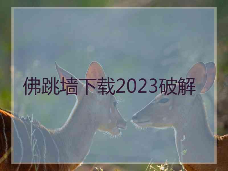 佛跳墙下载2023破解