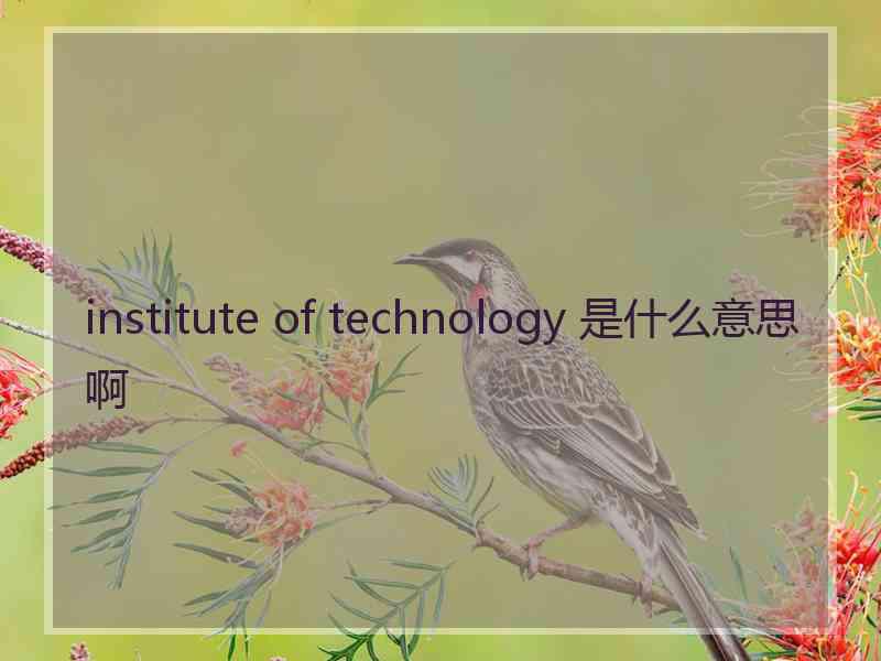 institute of technology 是什么意思啊