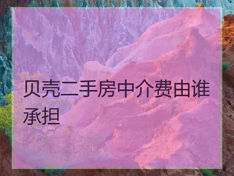 贝壳二手房中介费由谁承担