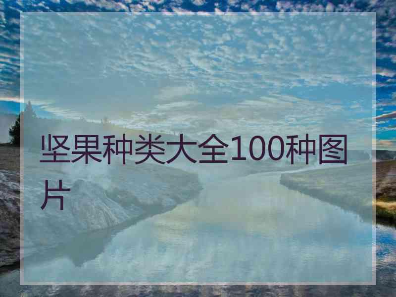 坚果种类大全100种图片