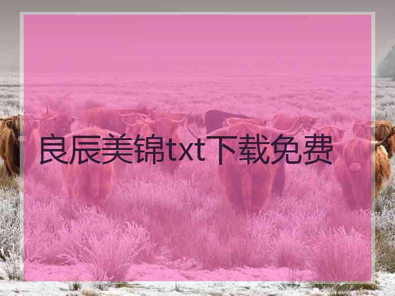 良辰美锦txt下载免费