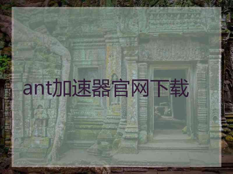 ant加速器官网下载