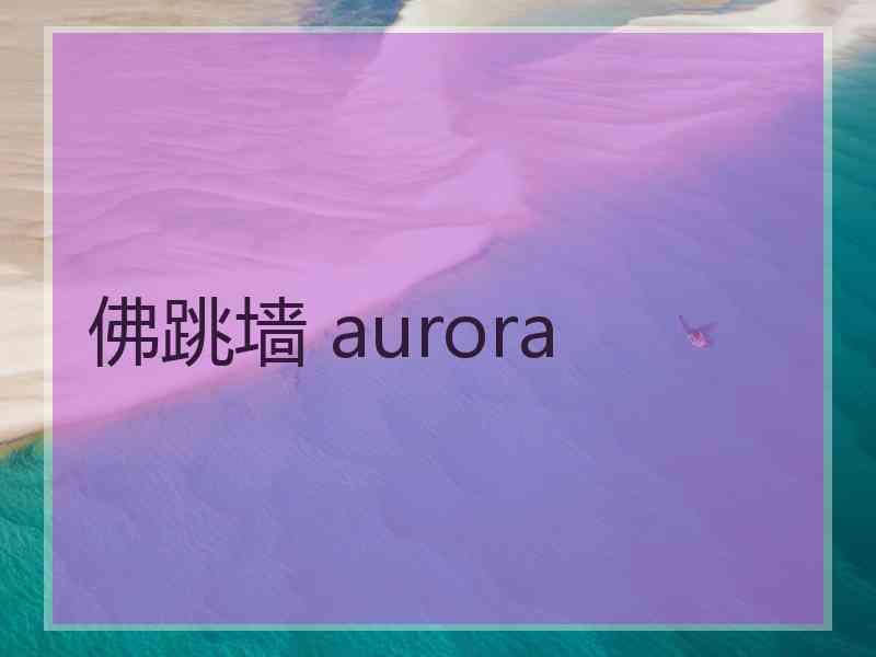 佛跳墙 aurora