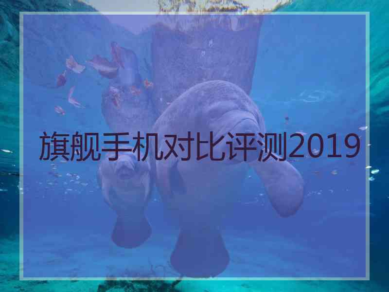 旗舰手机对比评测2019