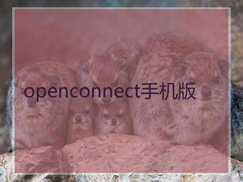 openconnect手机版