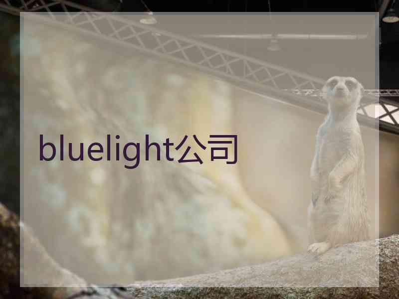 bluelight公司