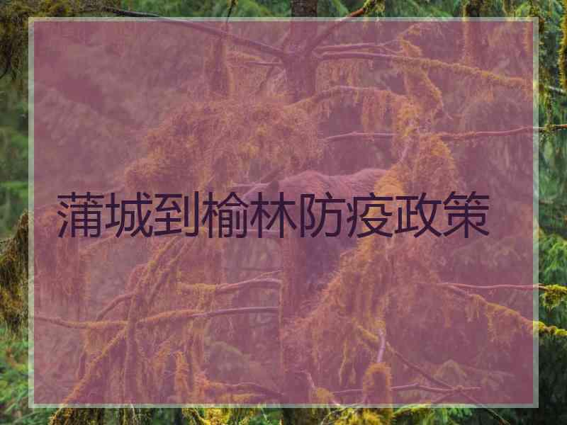 蒲城到榆林防疫政策