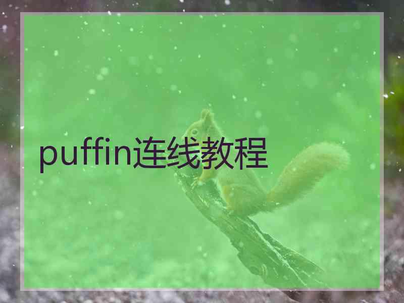 puffin连线教程