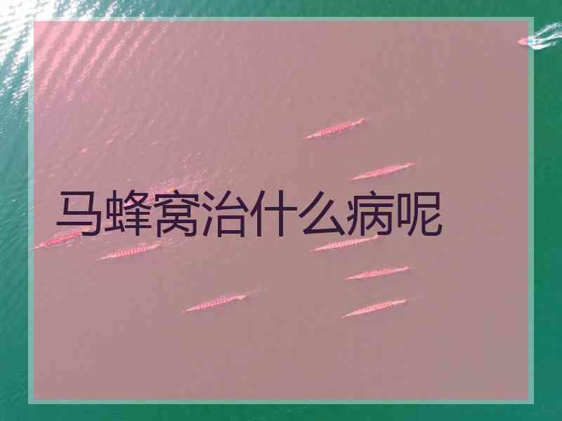 马蜂窝治什么病呢