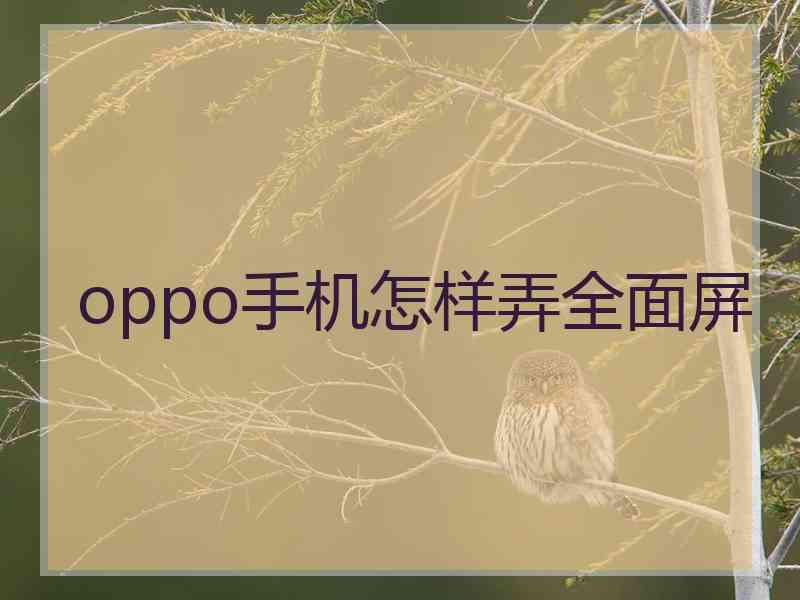 oppo手机怎样弄全面屏