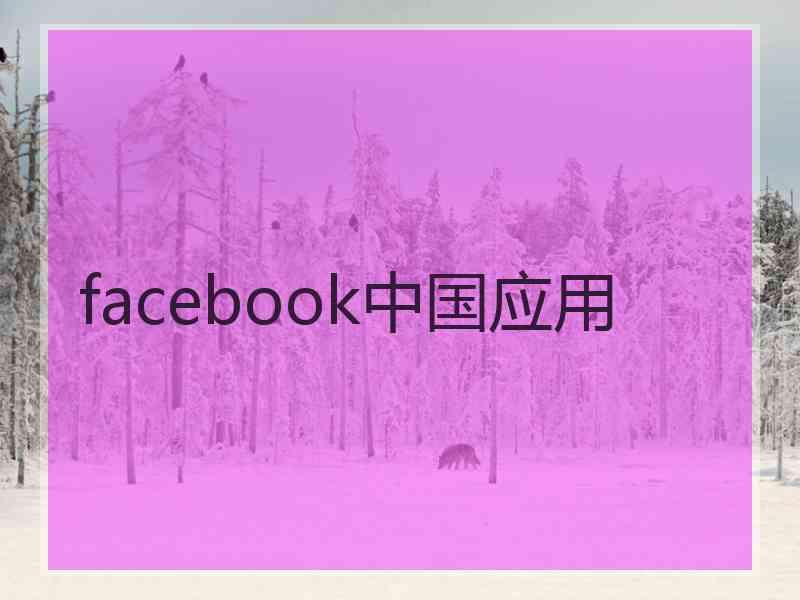 facebook中国应用