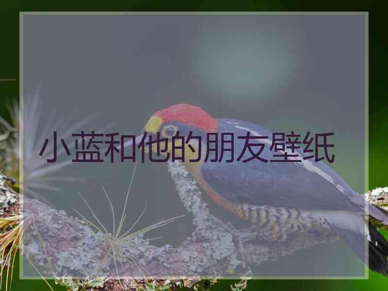 小蓝和他的朋友壁纸