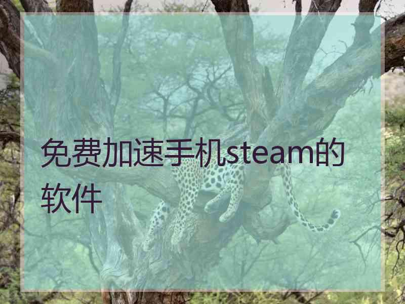 免费加速手机steam的软件