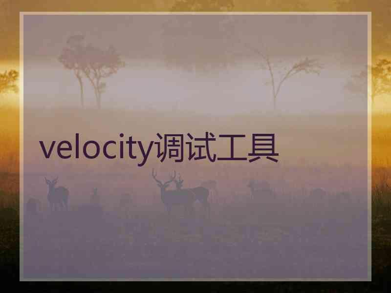 velocity调试工具