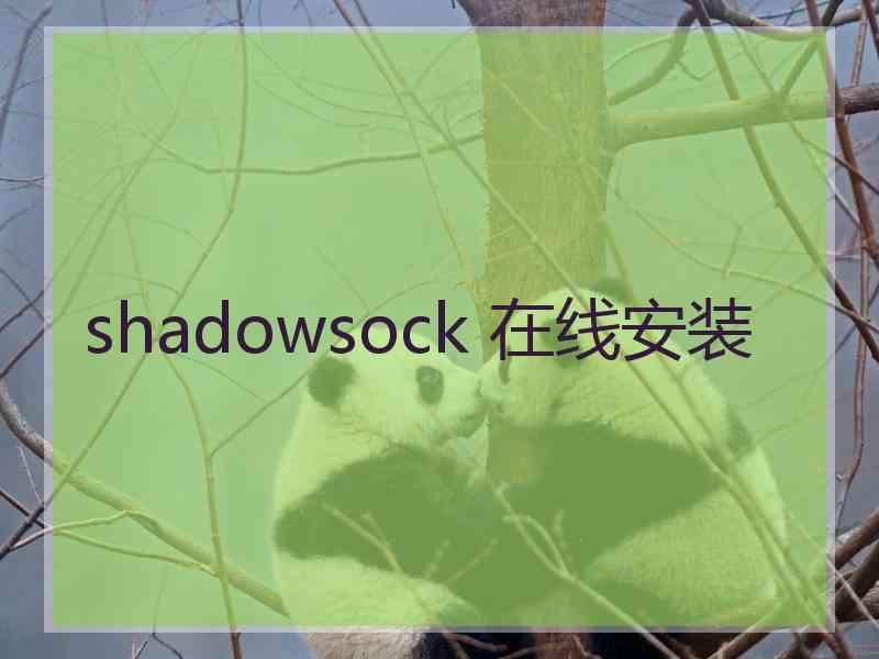 shadowsock 在线安装