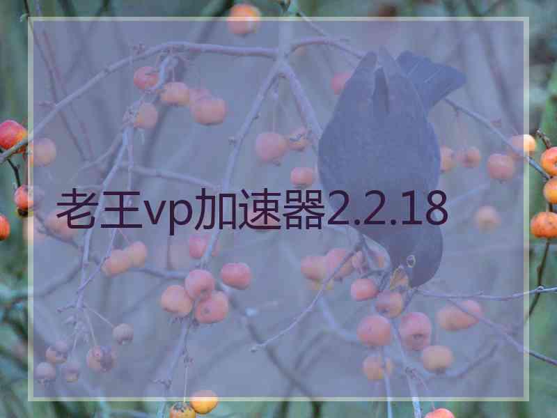 老王vp加速器2.2.18