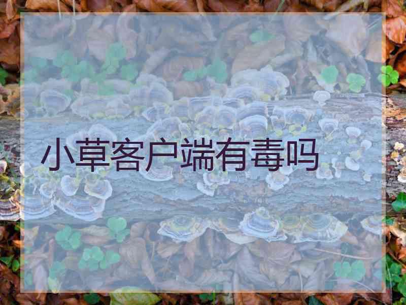 小草客户端有毒吗