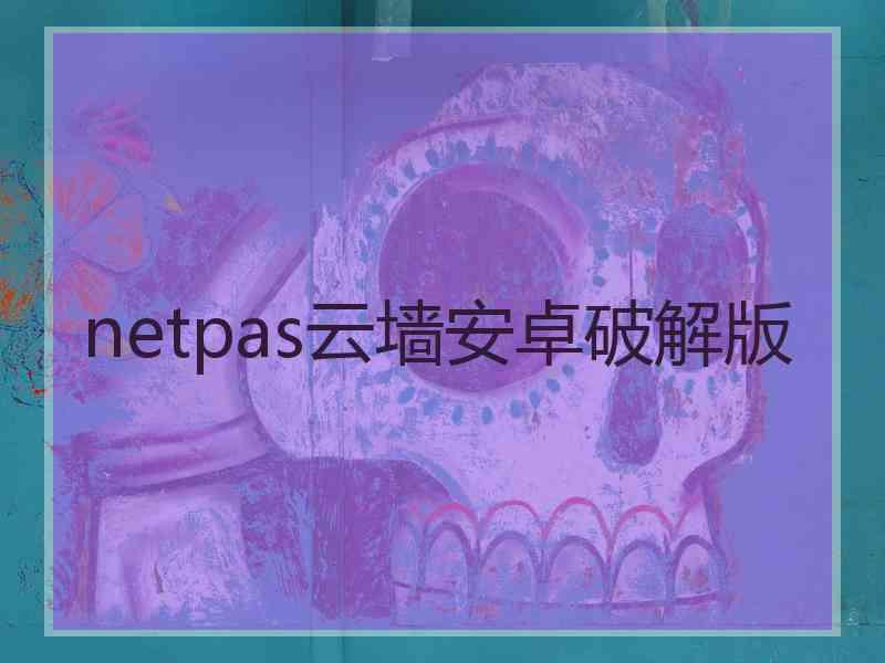 netpas云墙安卓破解版