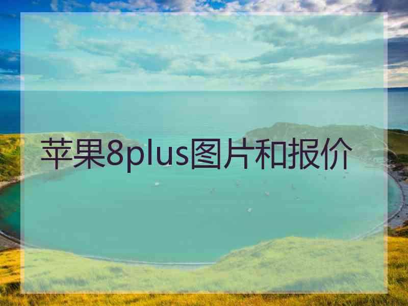 苹果8plus图片和报价