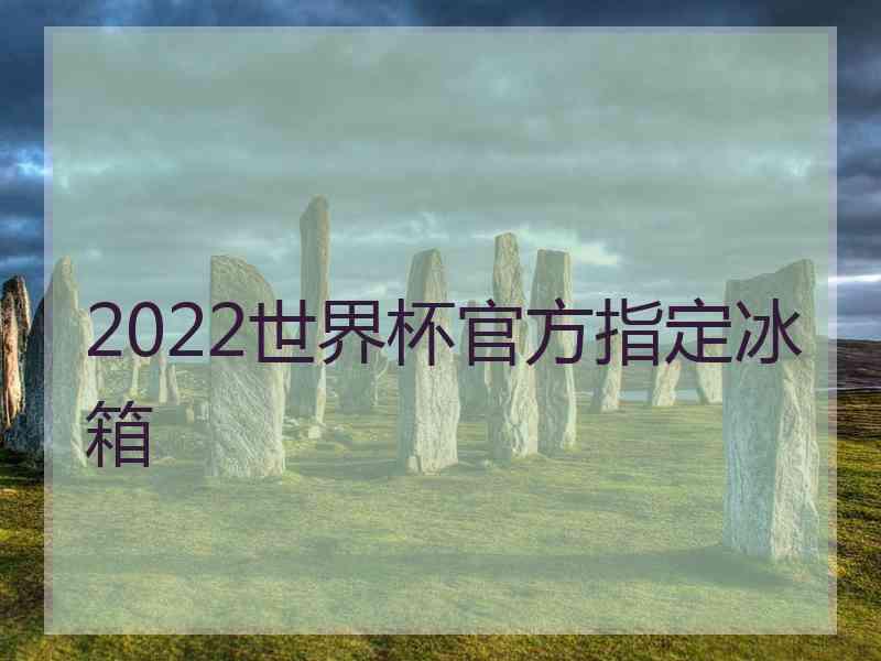 2022世界杯官方指定冰箱