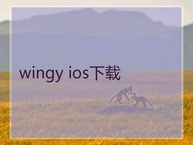 wingy ios下载