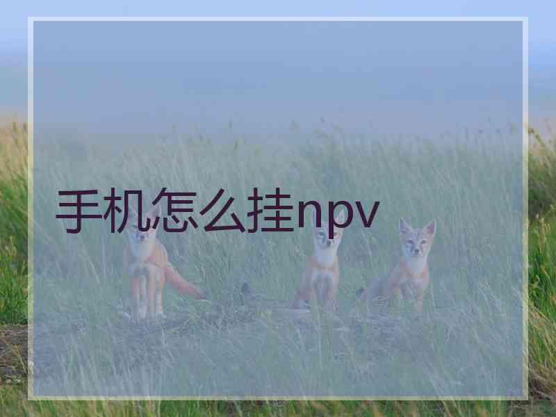 手机怎么挂npv