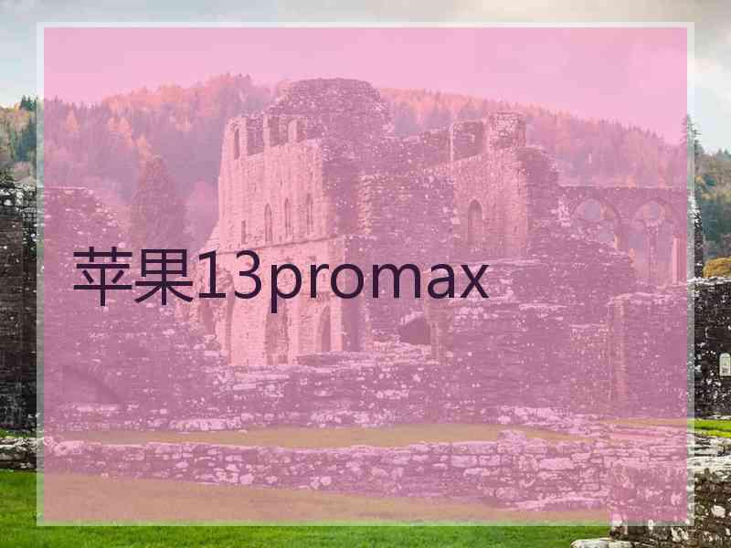 苹果13promax