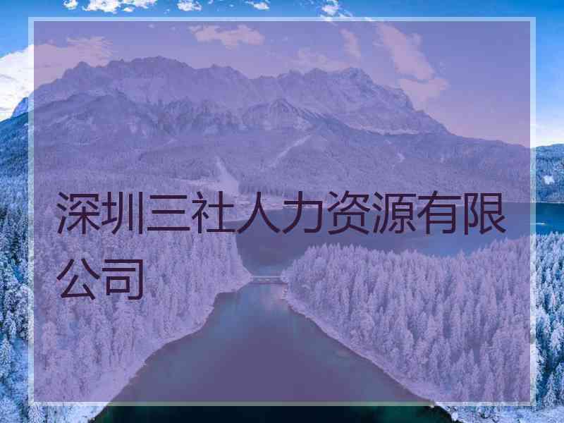 深圳三社人力资源有限公司