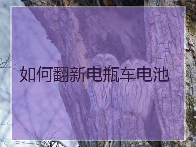 如何翻新电瓶车电池