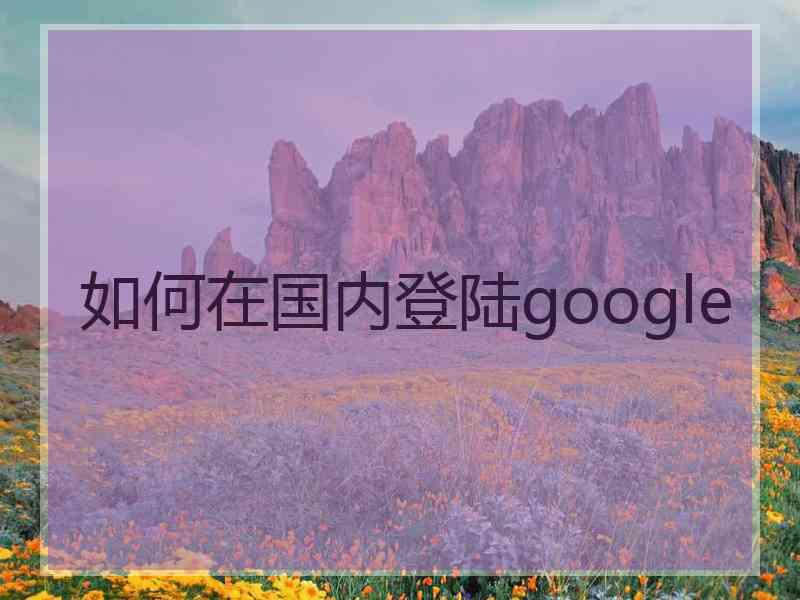 如何在国内登陆google