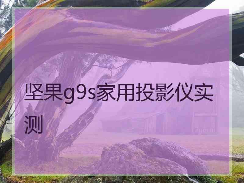 坚果g9s家用投影仪实测