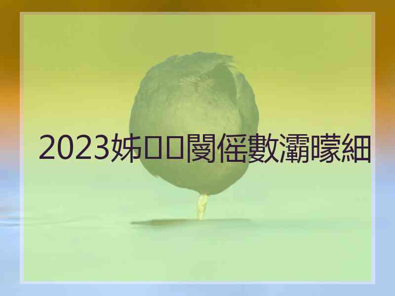 2023姊閿傜數灞曚細