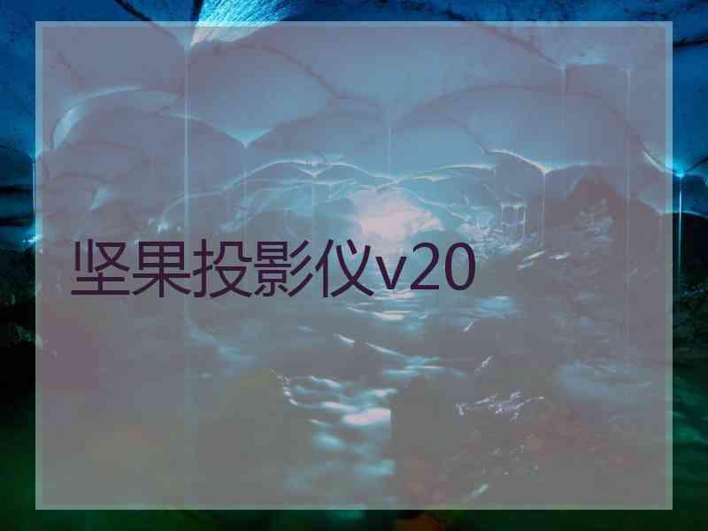 坚果投影仪v20