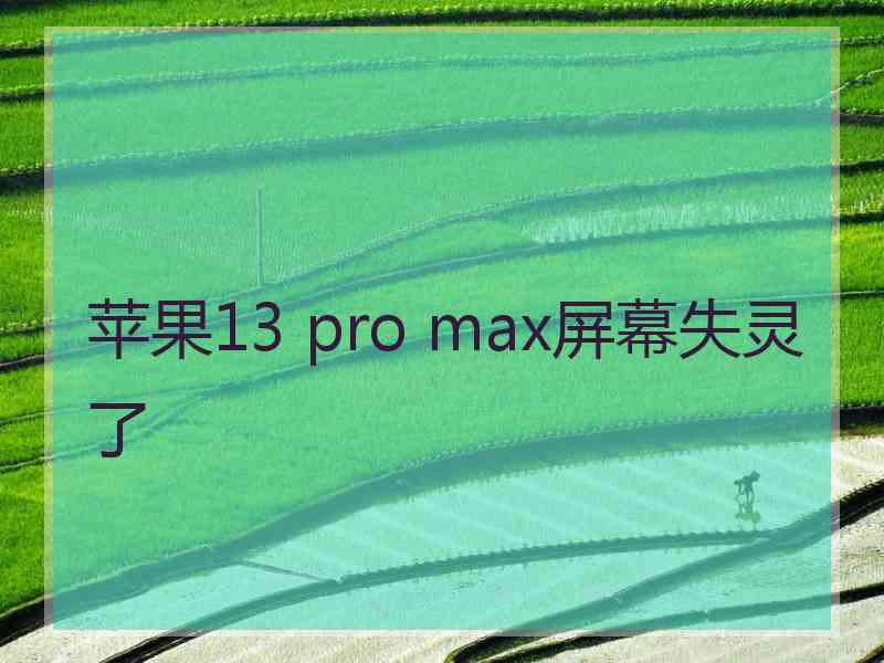 苹果13 pro max屏幕失灵了