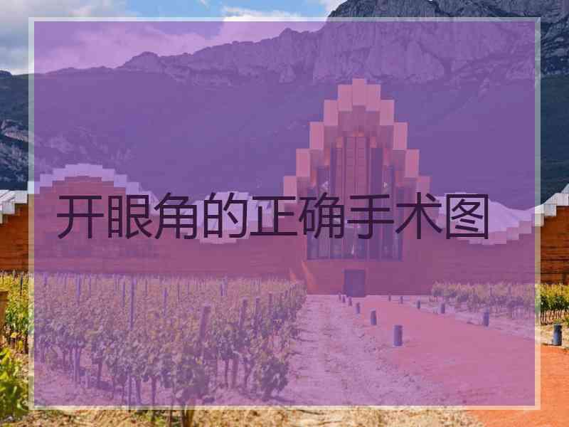 开眼角的正确手术图