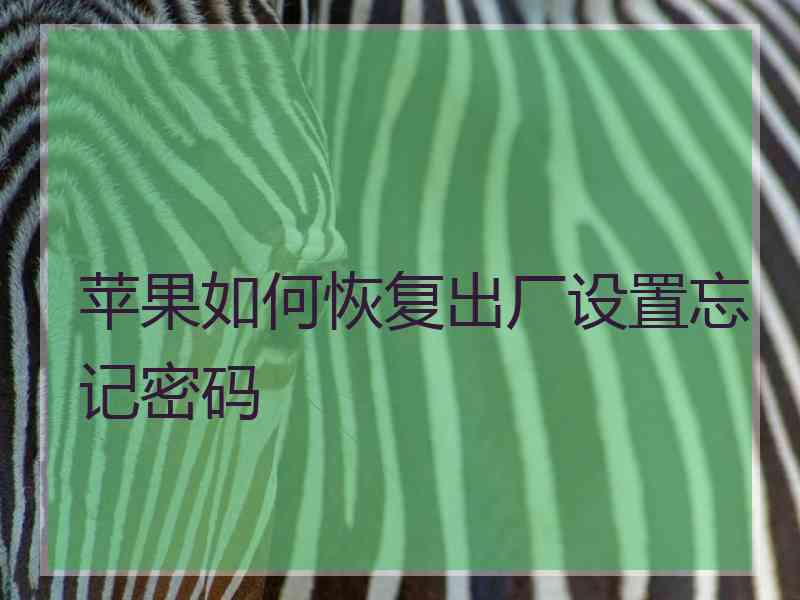 苹果如何恢复出厂设置忘记密码