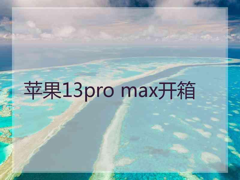 苹果13pro max开箱