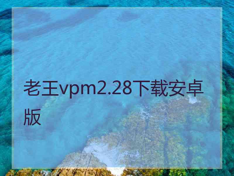 老王vpm2.28下载安卓版