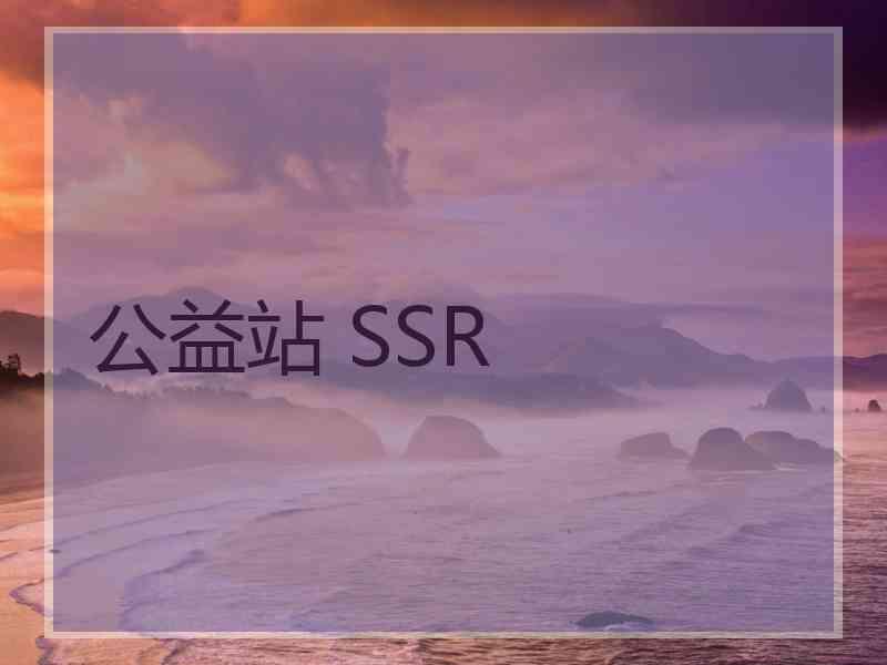 公益站 SSR