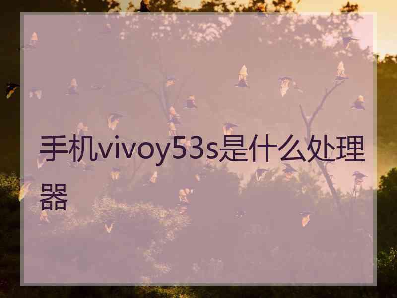 手机vivoy53s是什么处理器