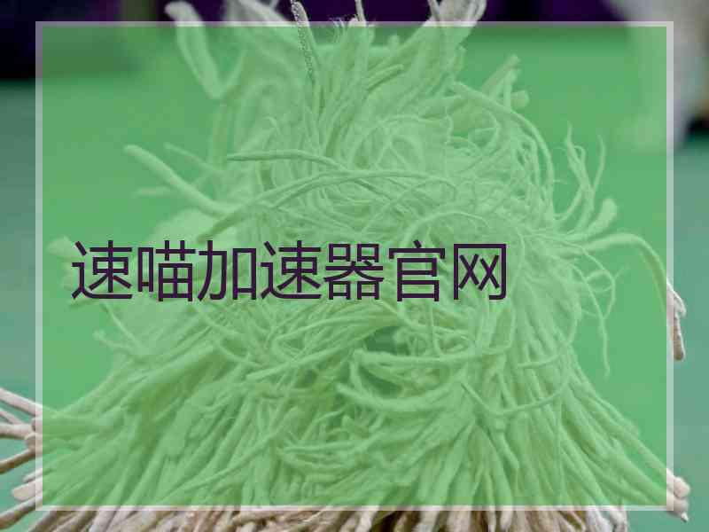 速喵加速器官网