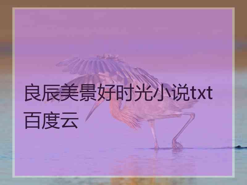 良辰美景好时光小说txt百度云