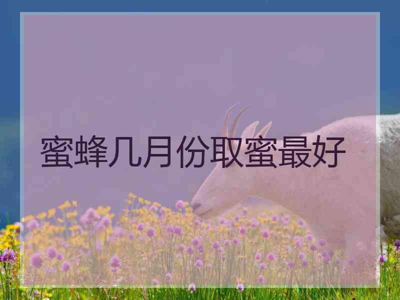 蜜蜂几月份取蜜最好