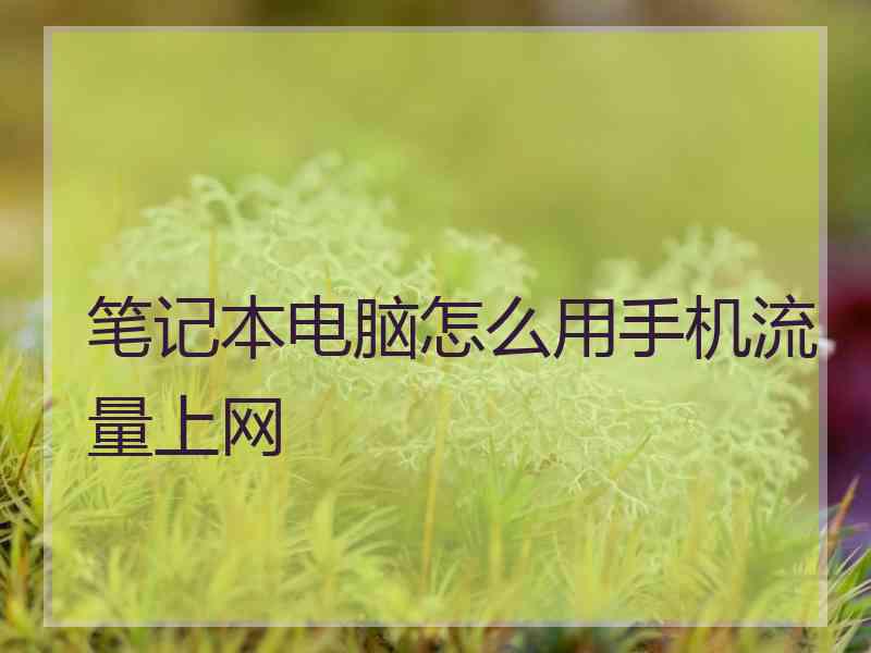 笔记本电脑怎么用手机流量上网