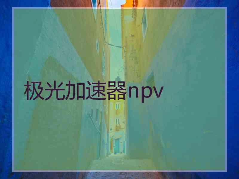 极光加速器npv