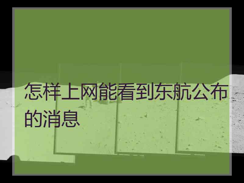 怎样上网能看到东航公布的消息