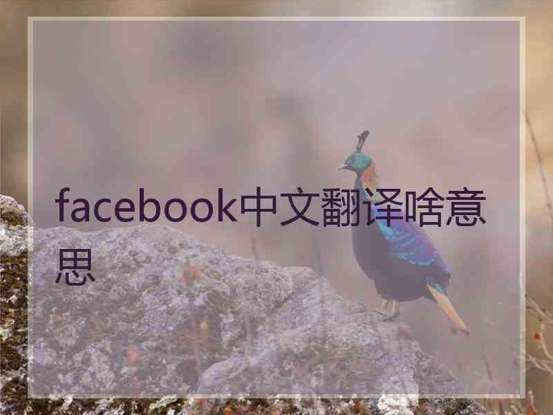 facebook中文翻译啥意思