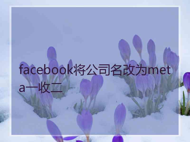 facebook将公司名改为meta一收二