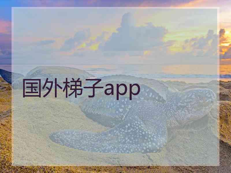 国外梯子app